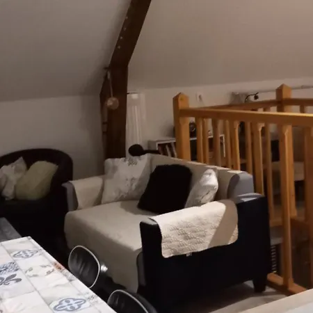 Vive L'auvergne Apartament